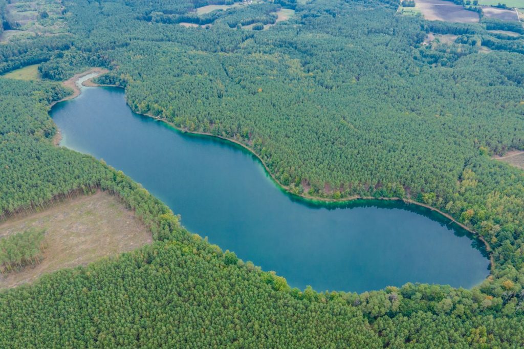 Jezioro piecniewo Lowisko Pszczew 8